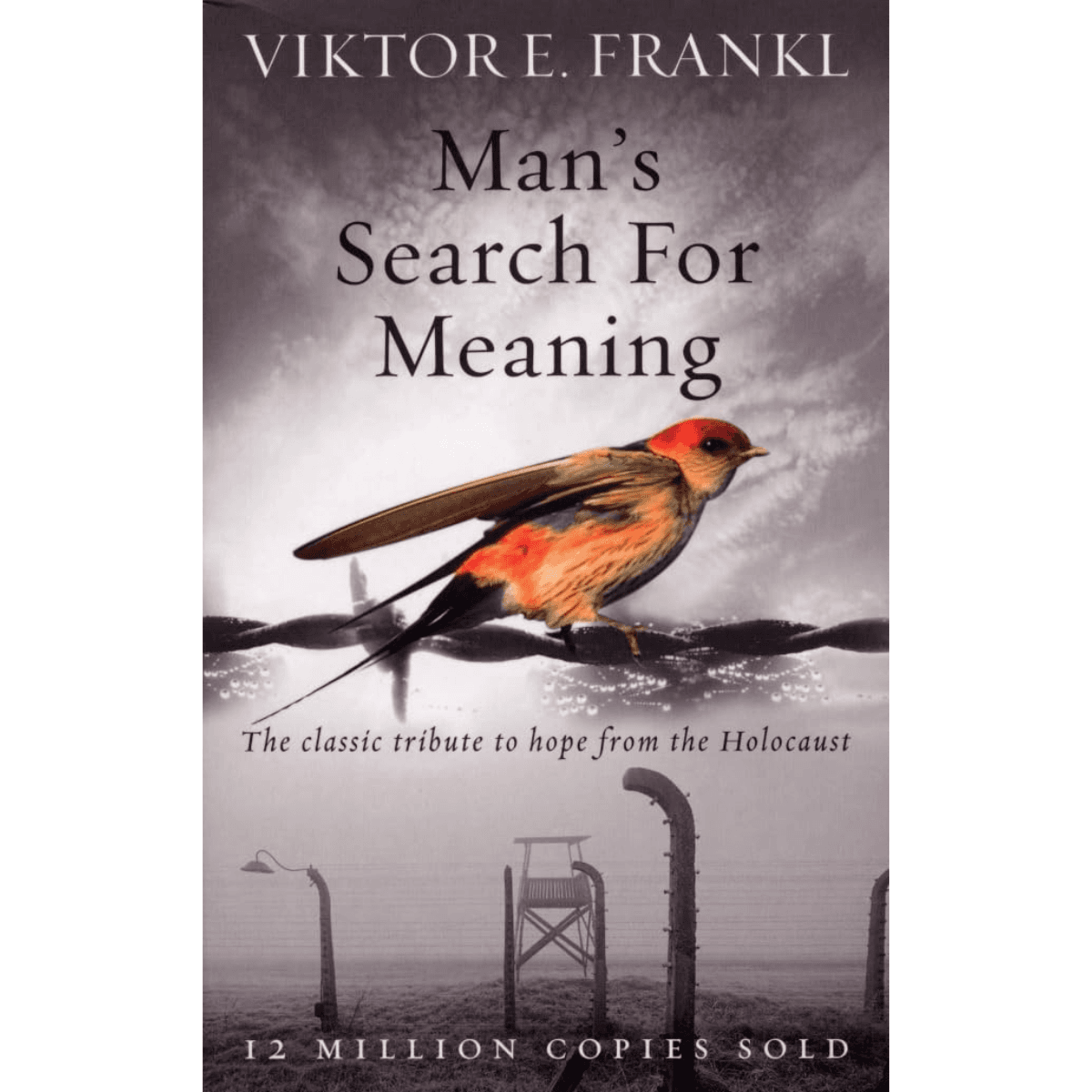 Man’s Search For Meaning Book