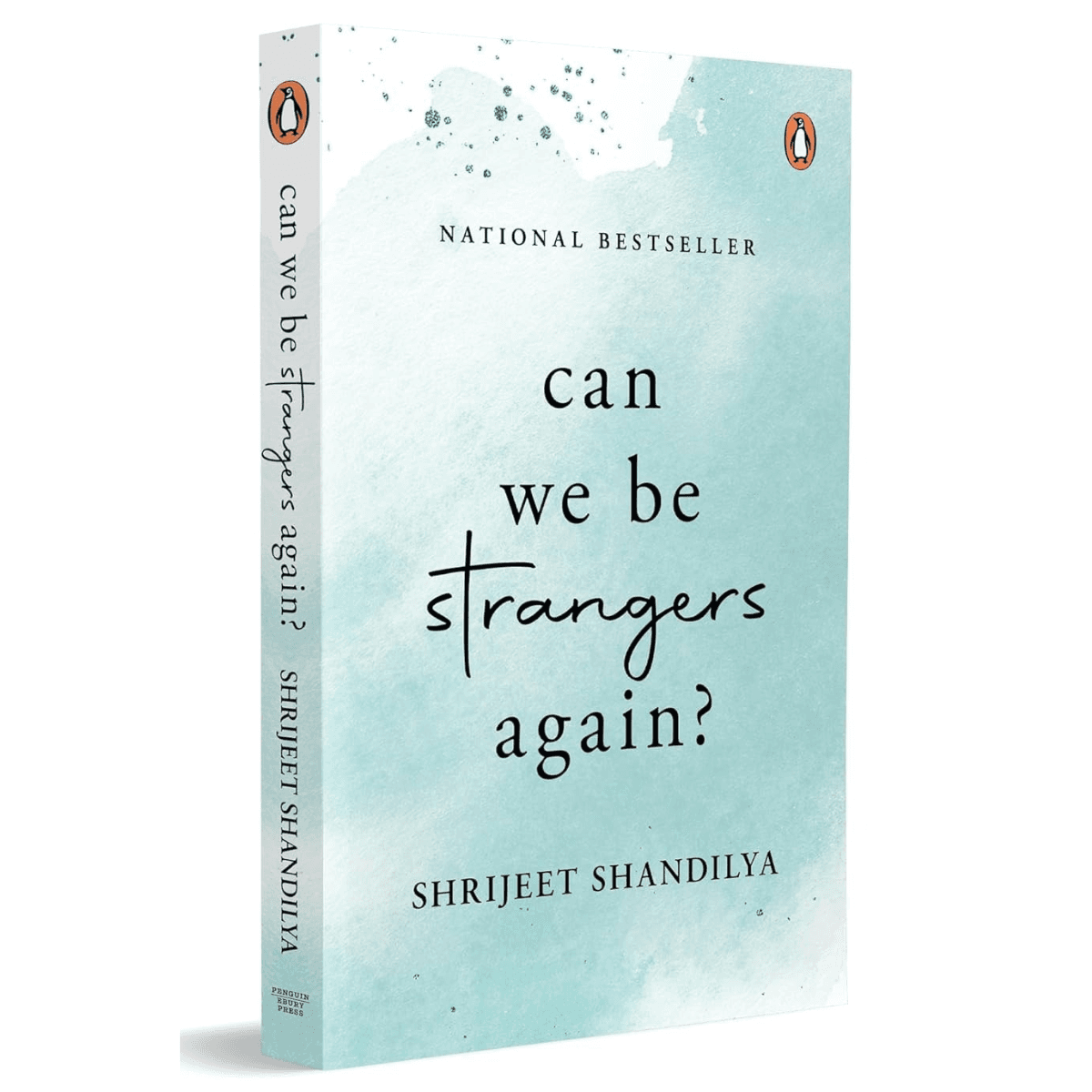 Can We be Strangers Again? Book