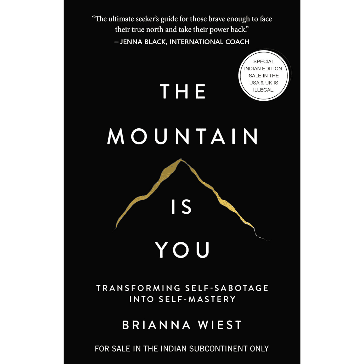 The Mountain Is You Book