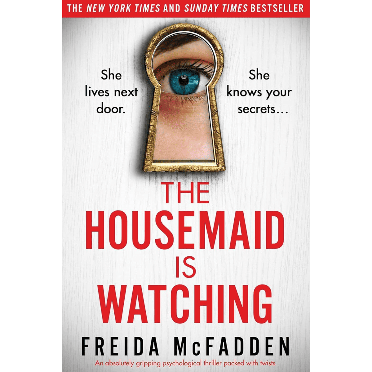 The Housemaid Is Watching Book