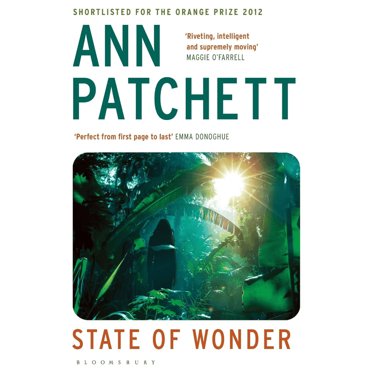 State of Wonder Book
