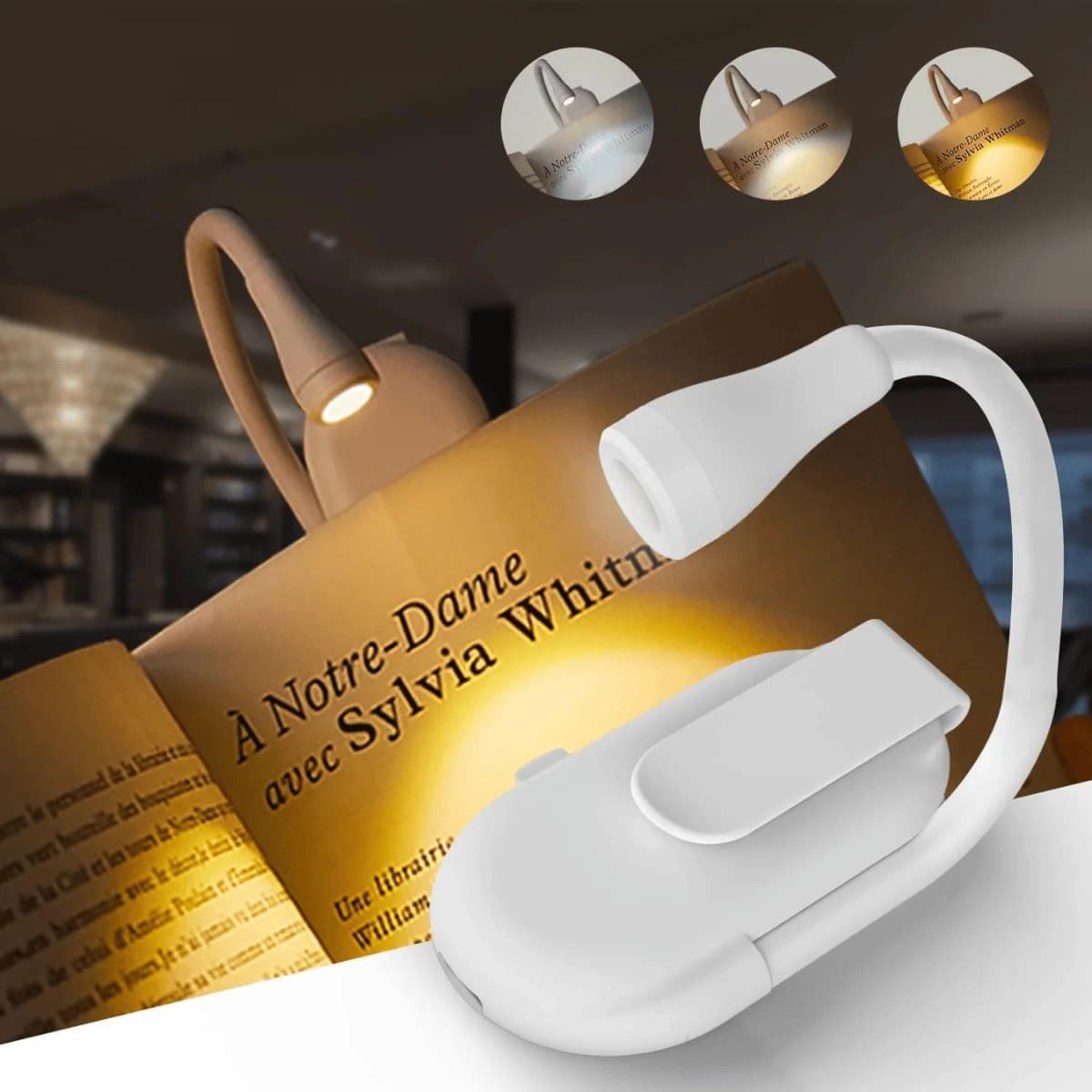 Plastic Study Lamp for Students, Reading Light, Night Lamp