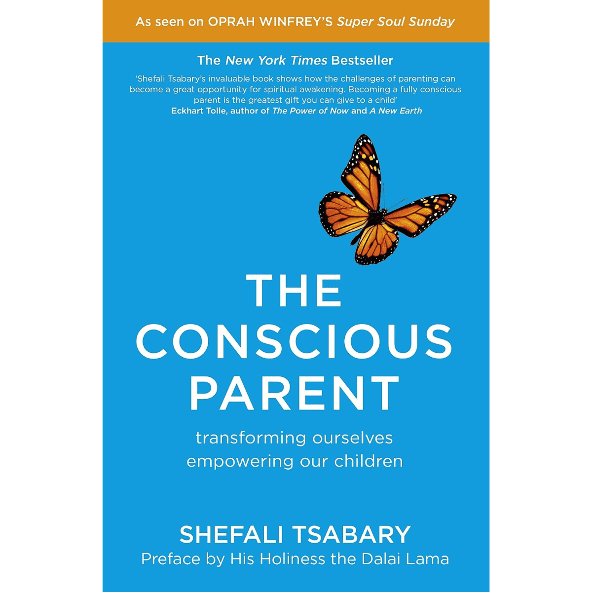 The Conscious Parent Book