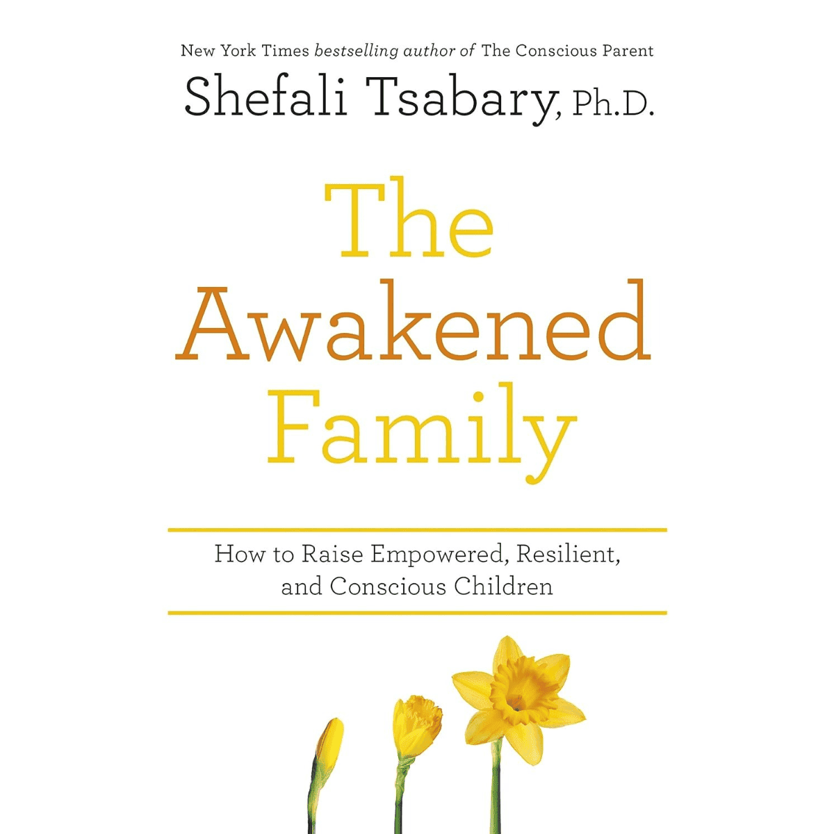The Awakened Family Book
