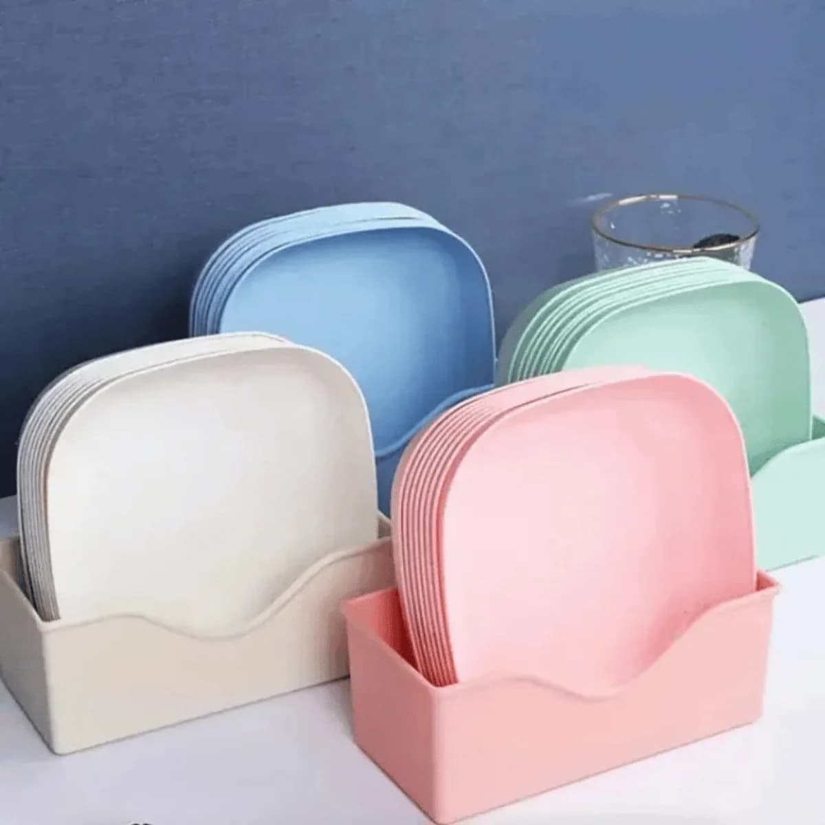 Plastic Dinner Plates with Stand Pack of 10