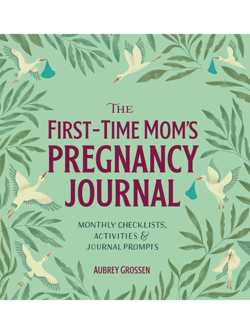 The First-Time Mom's Pregnancy Journal Book