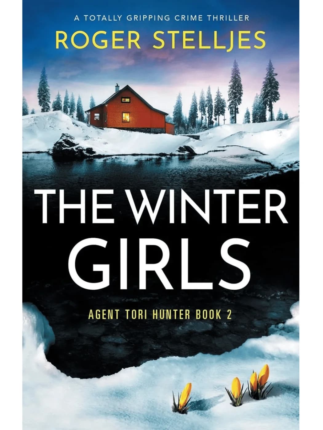 The Winter Girls Book: 2 (Agent Tori Hunter)