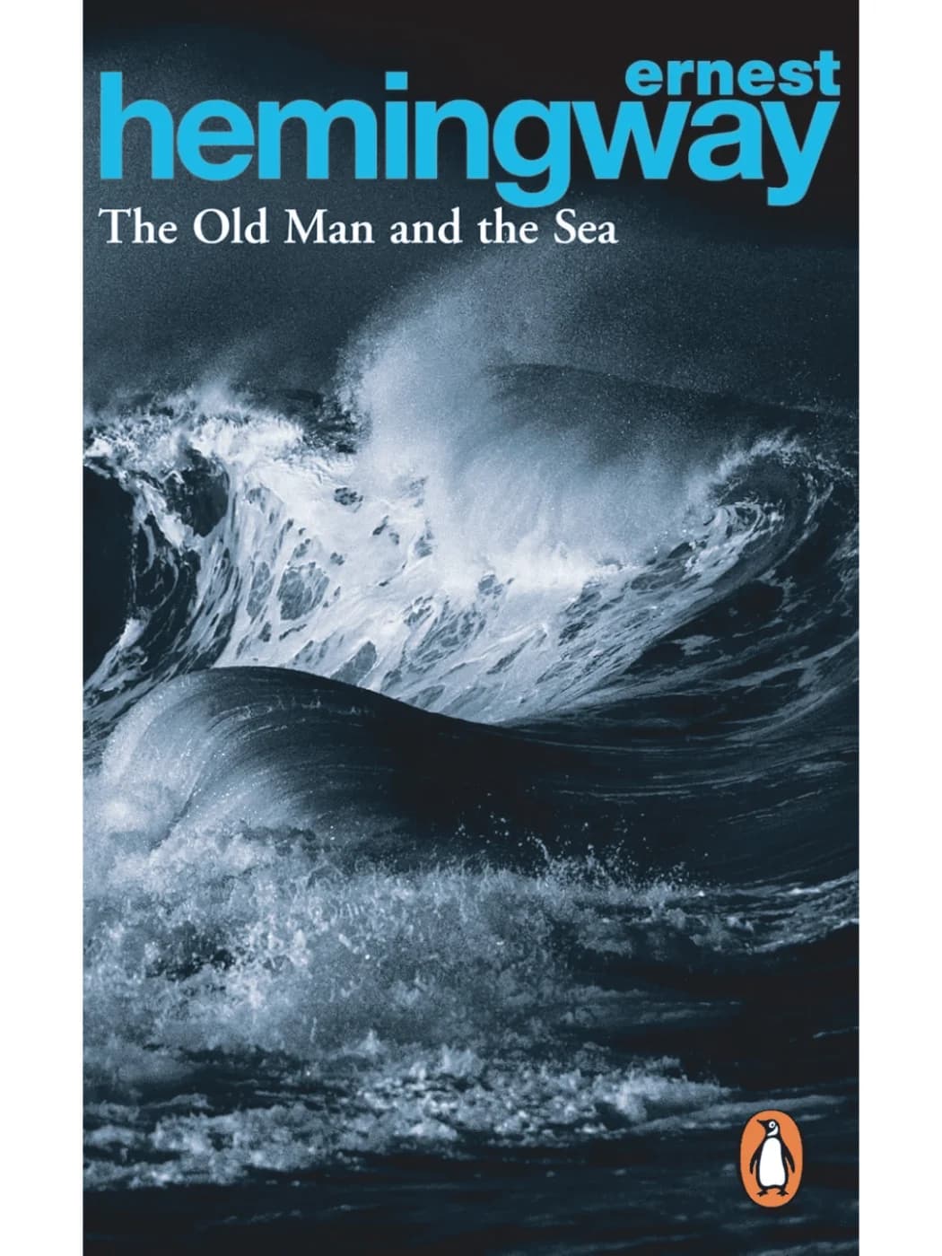 The Old Man and the Sea Book