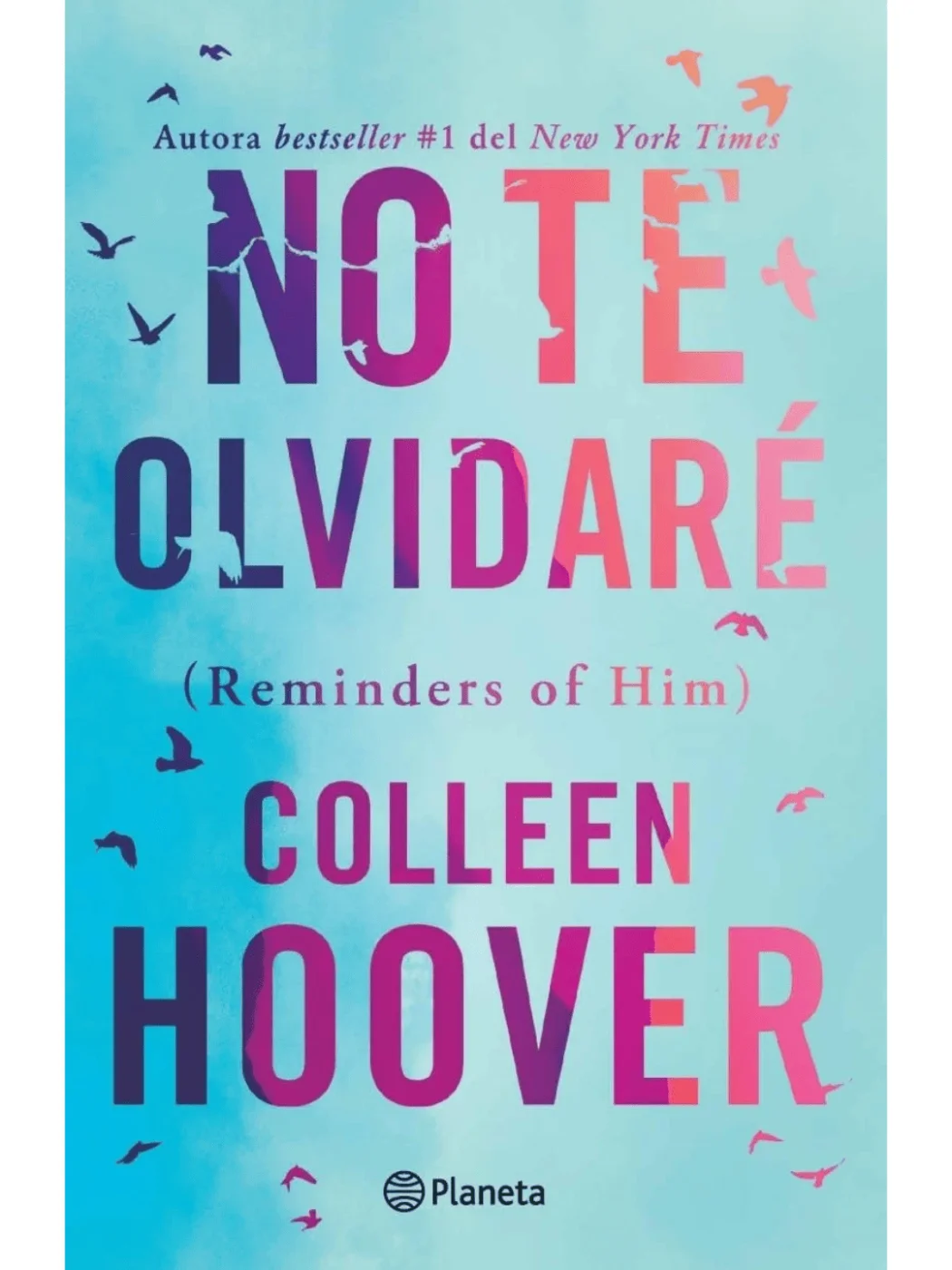 Reminders of Him Book